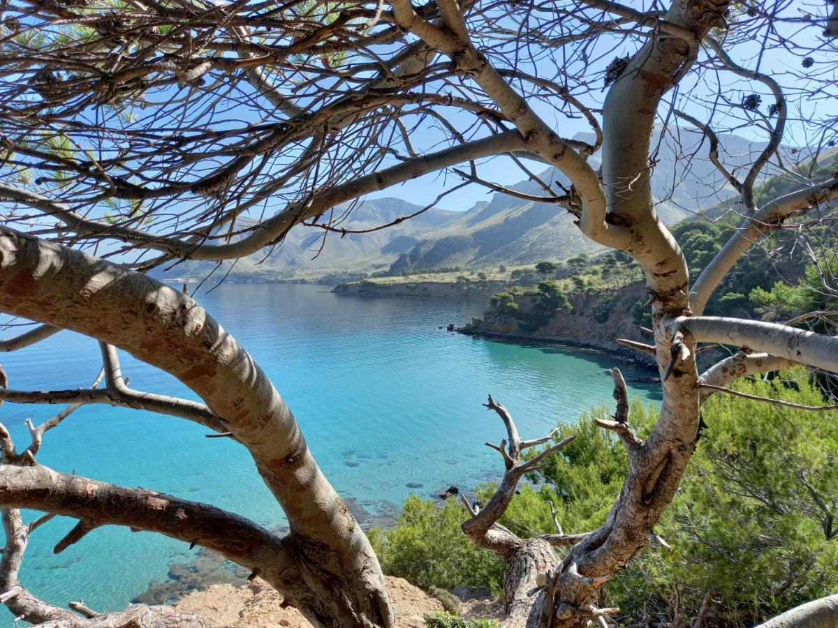 Апартаменты El Nido De Betlem Колонья-де-Сан-Педро Экстерьер фото